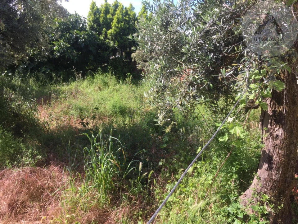 Moradia T4 para Venda em Ninho do Açor e Sobral do Campo Foto 5