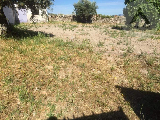 Terreno para Venda em Alcains Foto 4