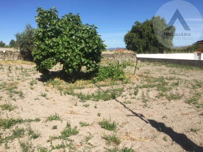 Terreno para Venda em Alcains Foto 9