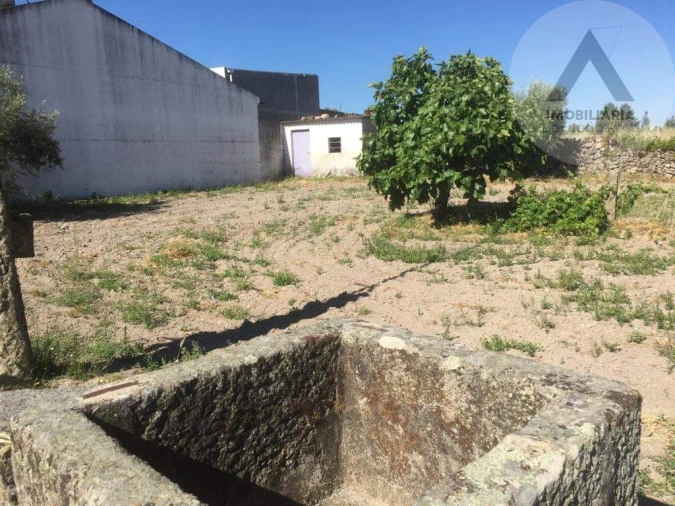 Terreno para Venda em Alcains Foto 5