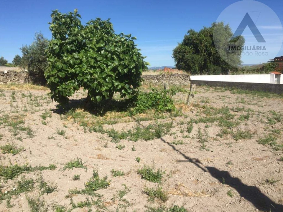 Terreno para Venda em Alcains Foto 9