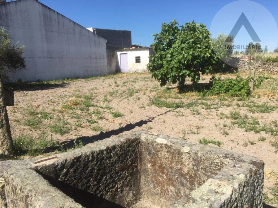 Terreno para Venda em Alcains Foto 5