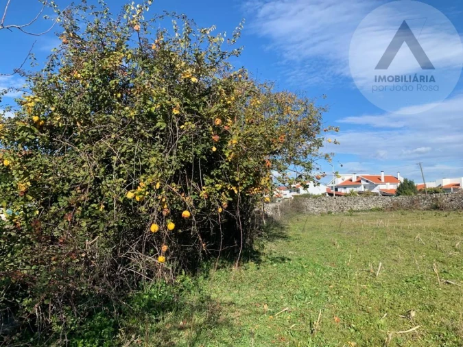 Terreno para Venda em Fundão, Valverde, Donas, A. Joanes, A. Nova Cabo Foto 7
