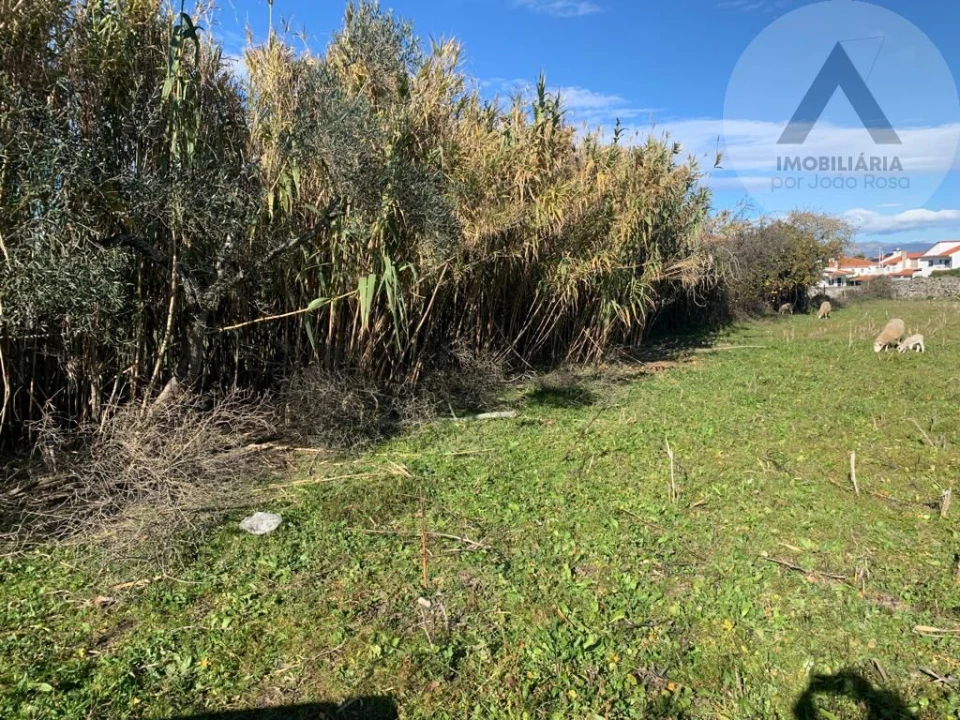 Terreno para Venda em Fundão, Valverde, Donas, A. Joanes, A. Nova Cabo Foto 8