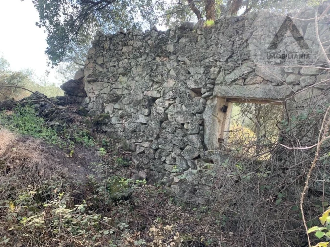 Terreno para Venda em Alcains Foto 13