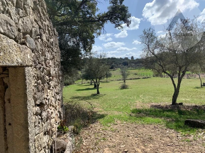 Terreno para Venda em Alcains