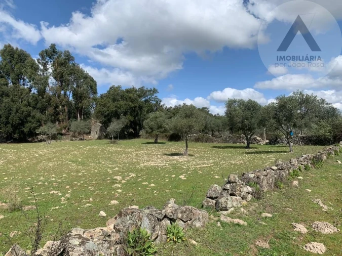 Terreno para Venda em Alcains Foto 15