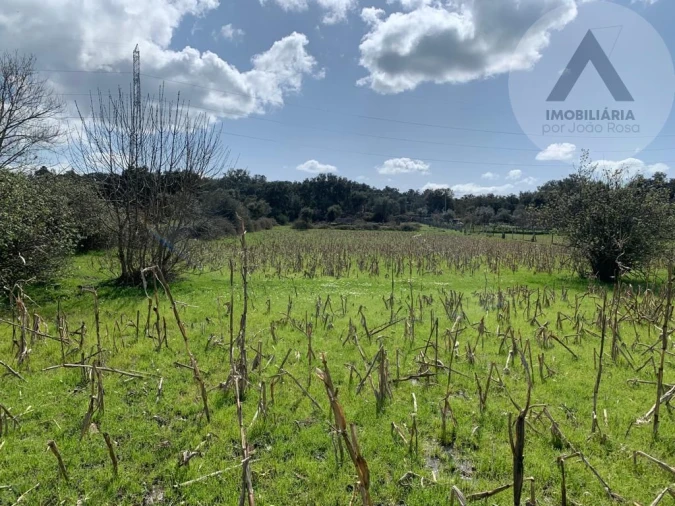 Terreno para Venda em Alcains Foto 3