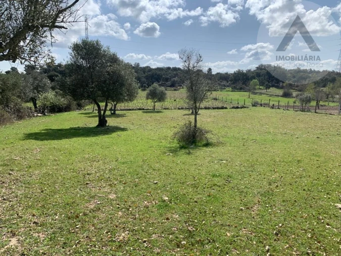 Terreno para Venda em Alcains Foto 12