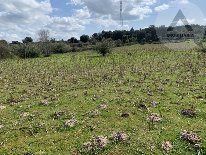 Terreno para Venda em Alcains Foto 8