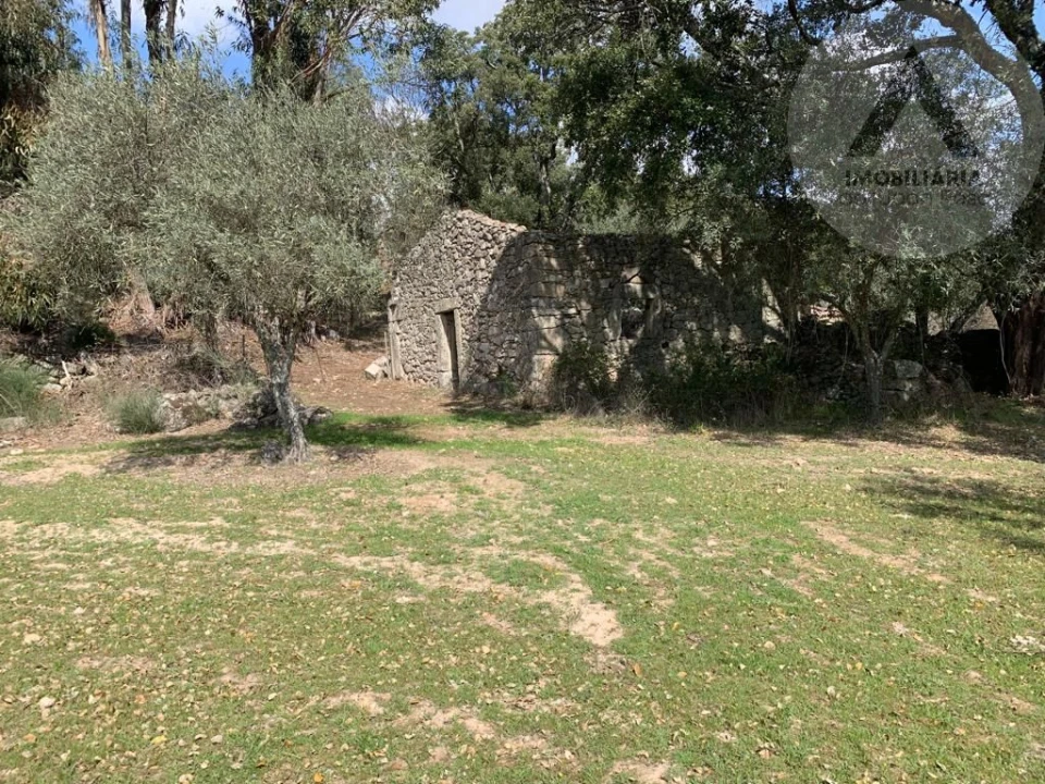 Terreno para Venda em Alcains Foto 2