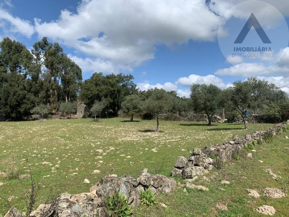 Terreno para Venda em Alcains Foto 15