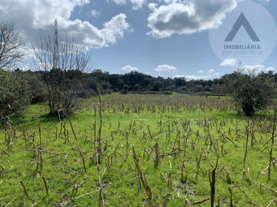 Terreno para Venda em Alcains Foto 3