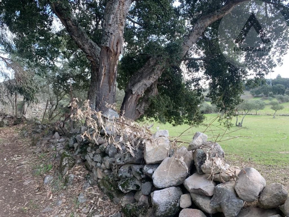Terreno para Venda em Alcains Foto 6