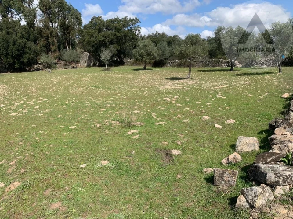 Terreno para Venda em Alcains Foto 9