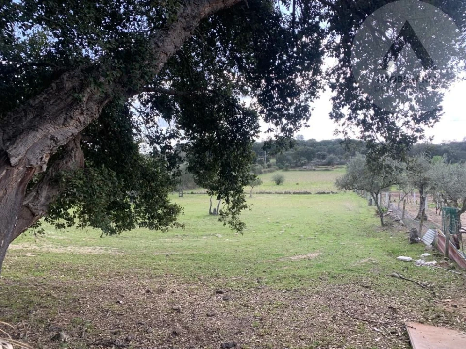 Terreno para Venda em Alcains Foto 11