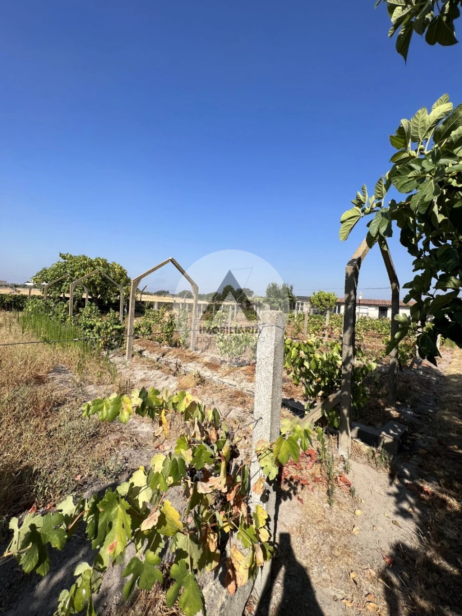 Moradia T2 para Venda em Castelo Branco Foto 15