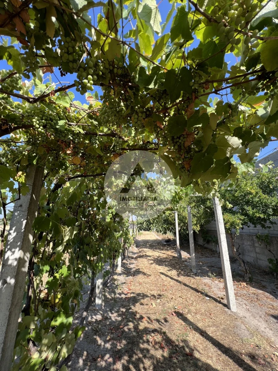 Moradia T2 para Venda em Castelo Branco Foto 13