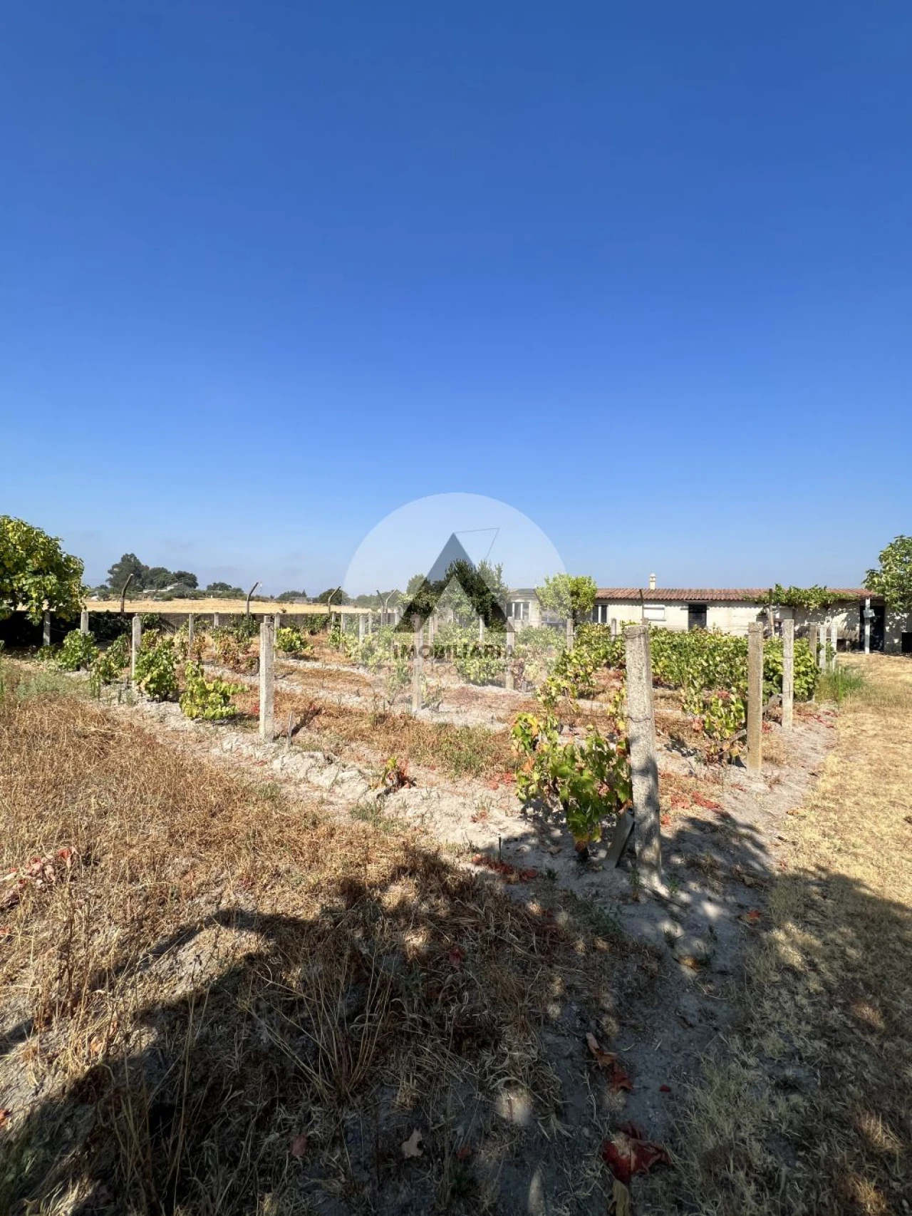 Moradia T2 para Venda em Castelo Branco Foto 17