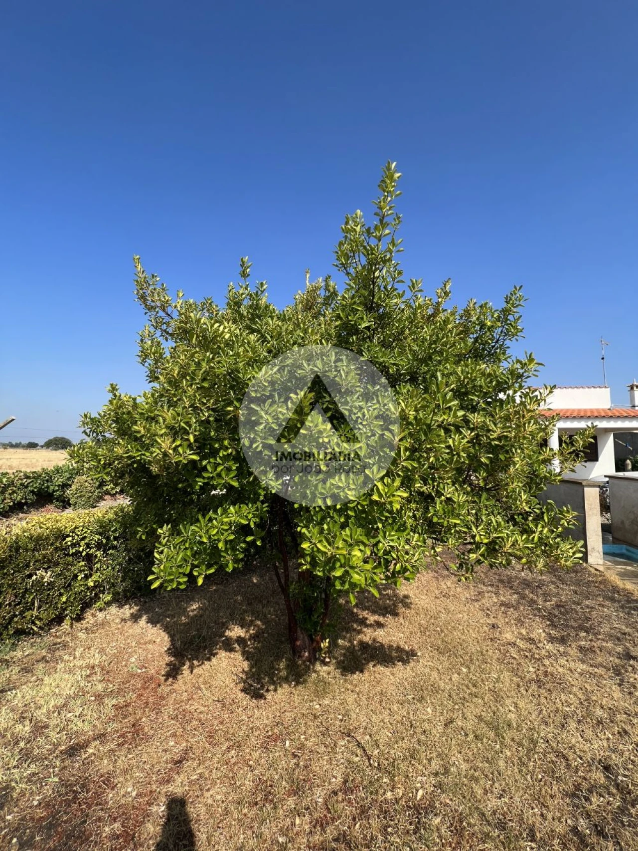 Moradia T2 para Venda em Castelo Branco Foto 4