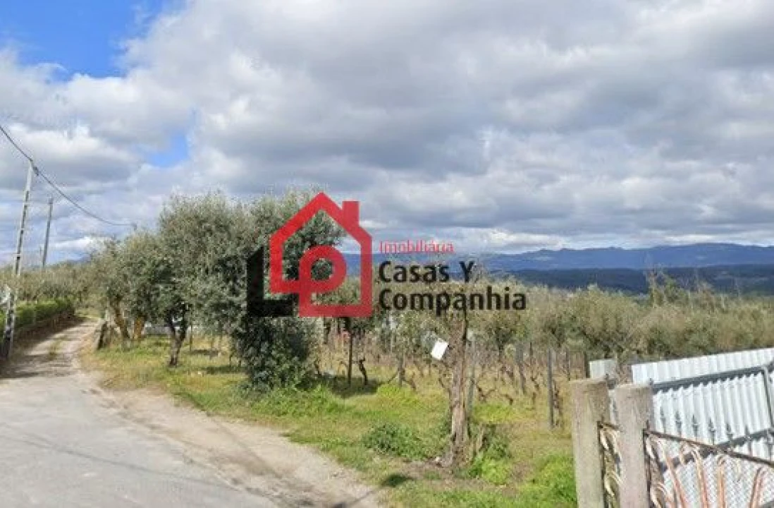 Terreno para Venda em Silgueiros Foto 1