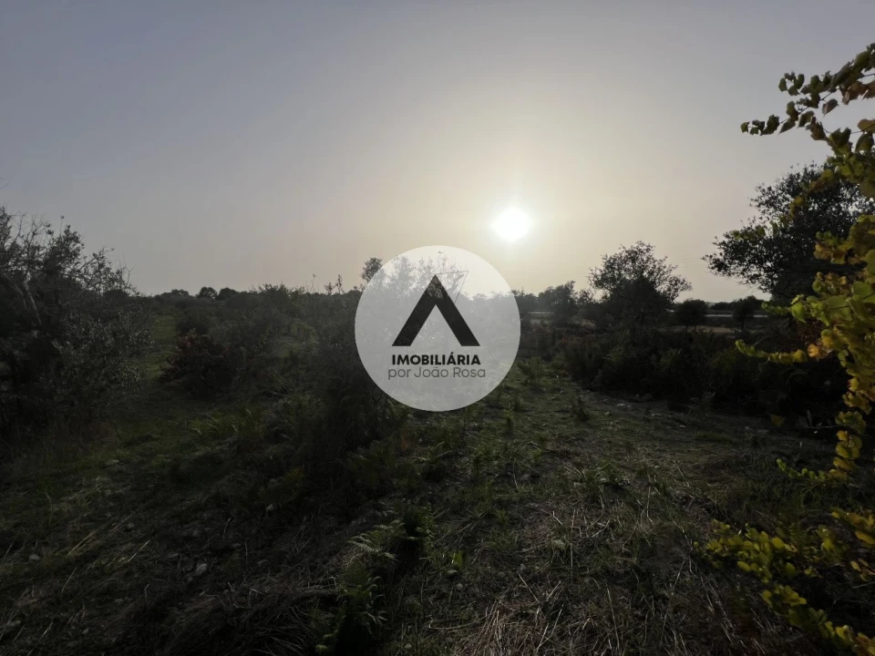 Terreno para Venda em Alcains Foto 9