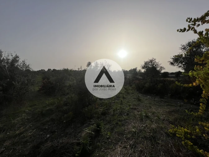 Terreno para Venda em Alcains Foto 9