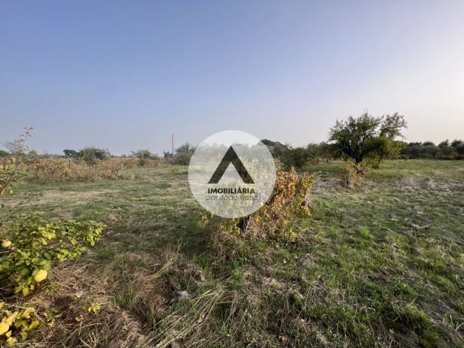 Terreno para Venda em Alcains Foto 15