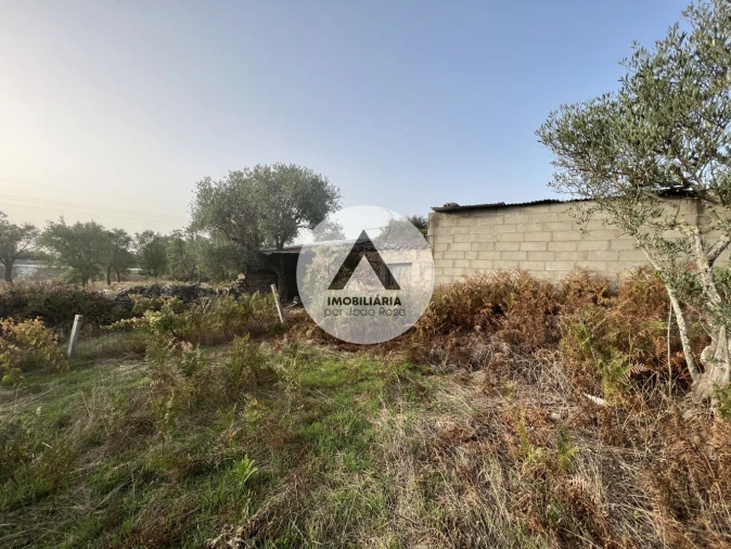 Terreno para Venda em Alcains Foto 11