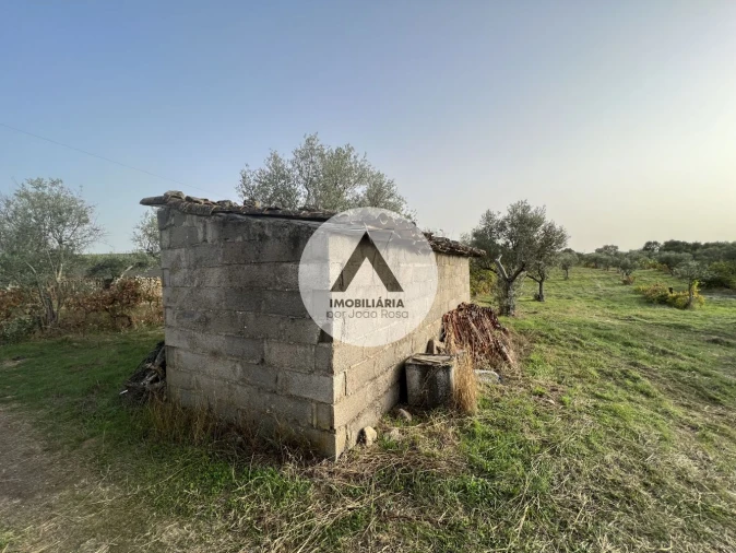 Terreno para Venda em Alcains Foto 7