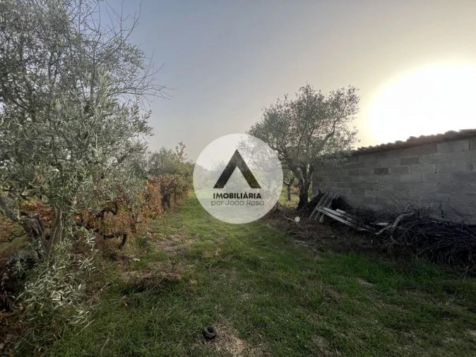 Terreno para Venda em Alcains Foto 6