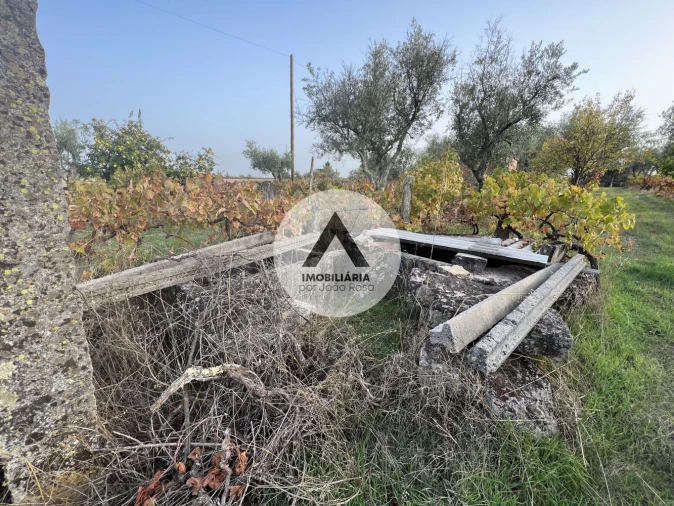 Terreno para Venda em Alcains Foto 16