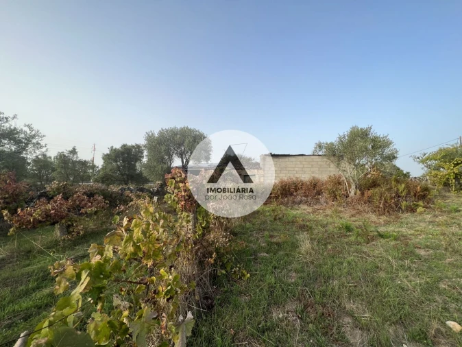 Terreno para Venda em Alcains Foto 14
