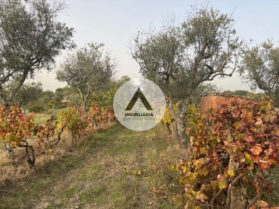 Terreno para Venda em Alcains Foto 21