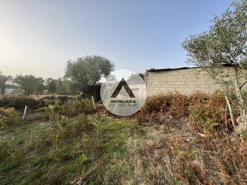 Terreno para Venda em Alcains Foto 11