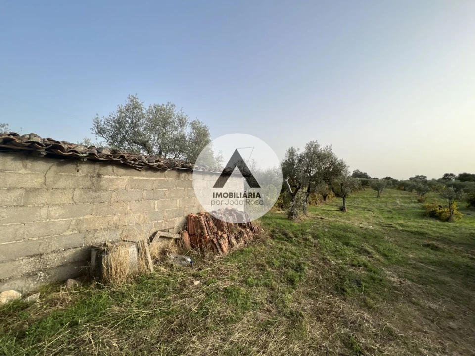 Terreno para Venda em Alcains Foto 8