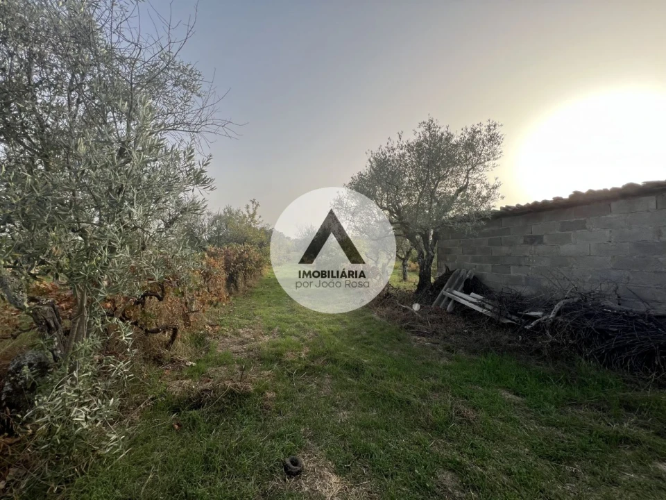 Terreno para Venda em Alcains Foto 6