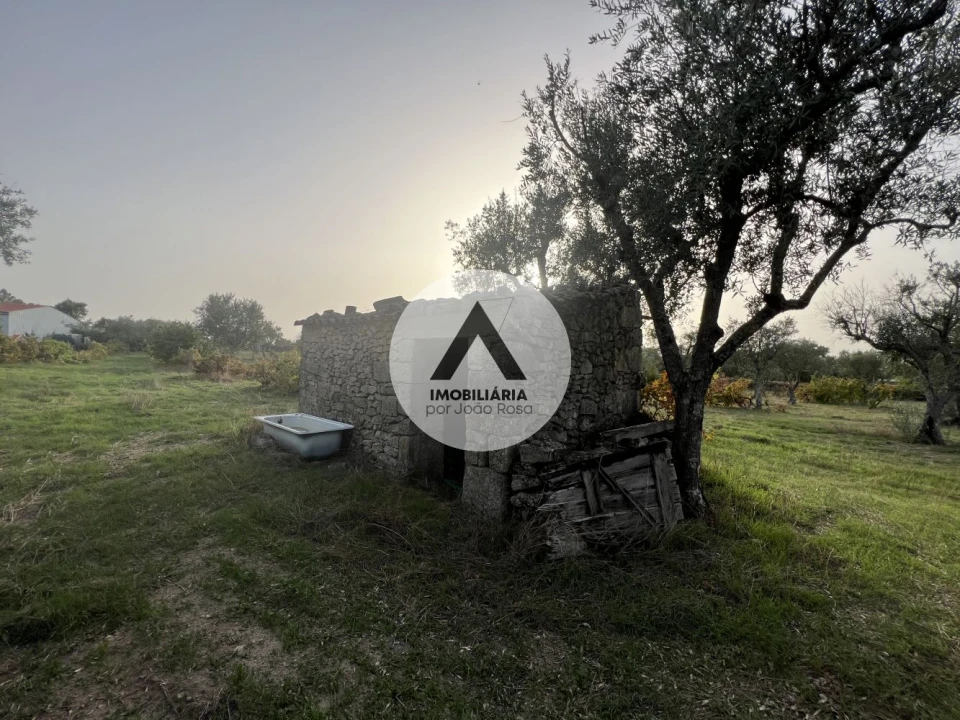 Terreno para Venda em Alcains Foto 3