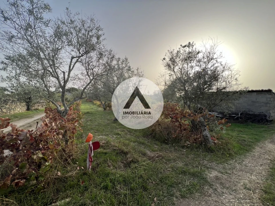 Terreno para Venda em Alcains Foto 5