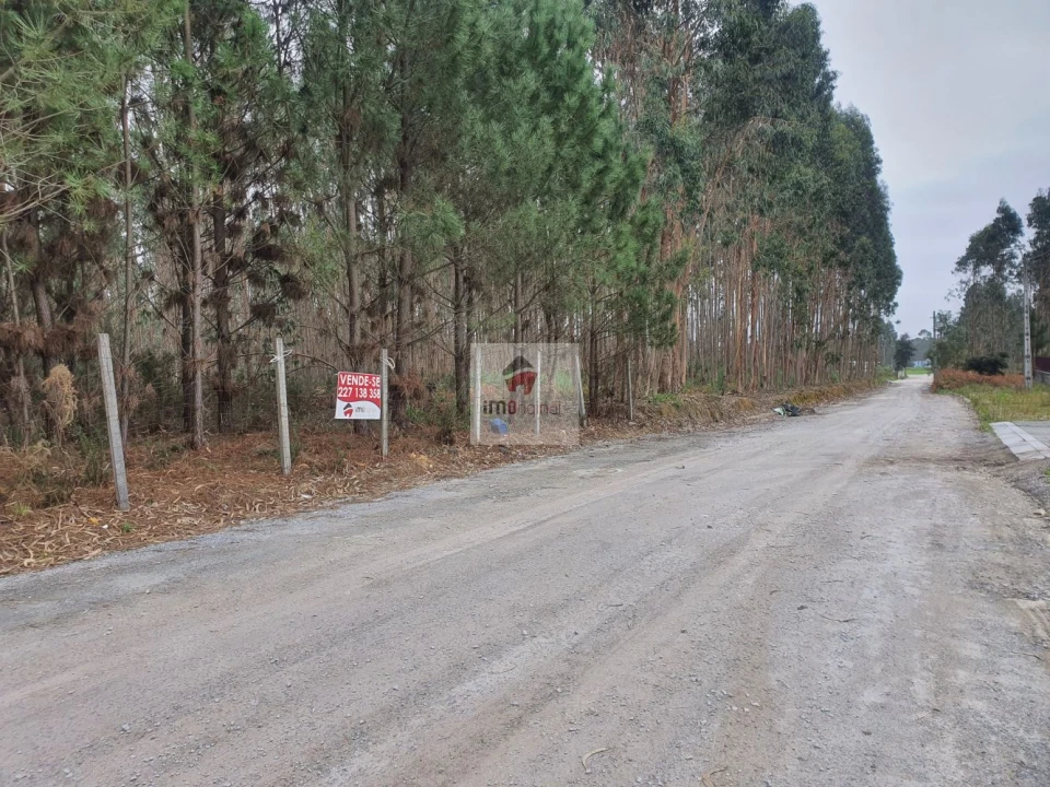 Terreno para Venda em Serzedo e Perosinho Foto 13