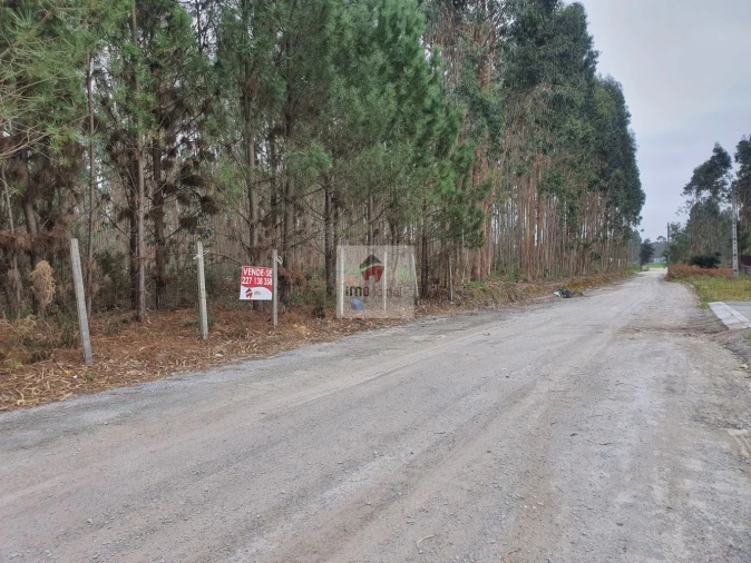 Terreno para Venda em Serzedo e Perosinho Foto 13