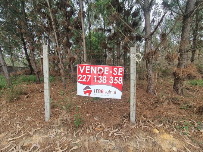 Terreno para Venda em Serzedo e Perosinho Foto 1