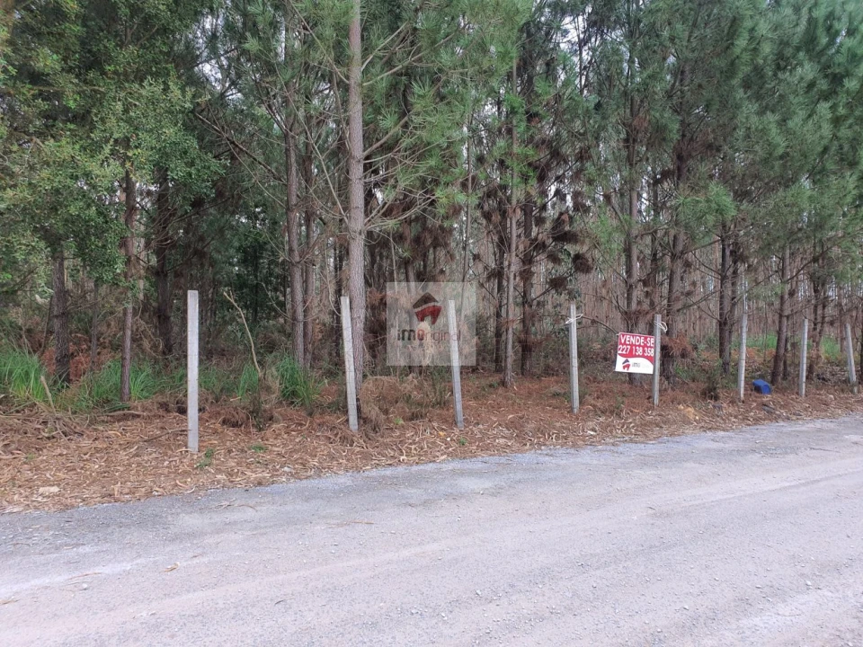 Terreno para Venda em Serzedo e Perosinho Foto 12