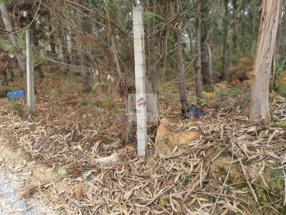 Terreno para Venda em Serzedo e Perosinho Foto 10