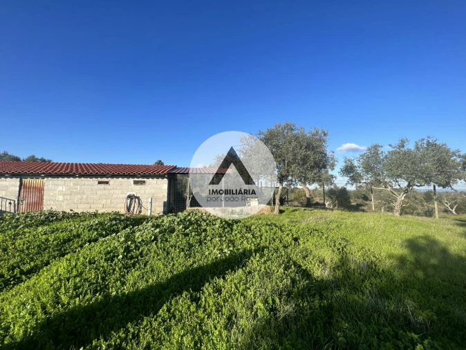 Moradia T6 para Venda em Idanha-A-Nova e Alcafozes Foto 50