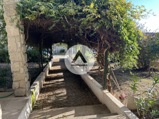 Moradia T6 para Venda em Idanha-A-Nova e Alcafozes Foto 29