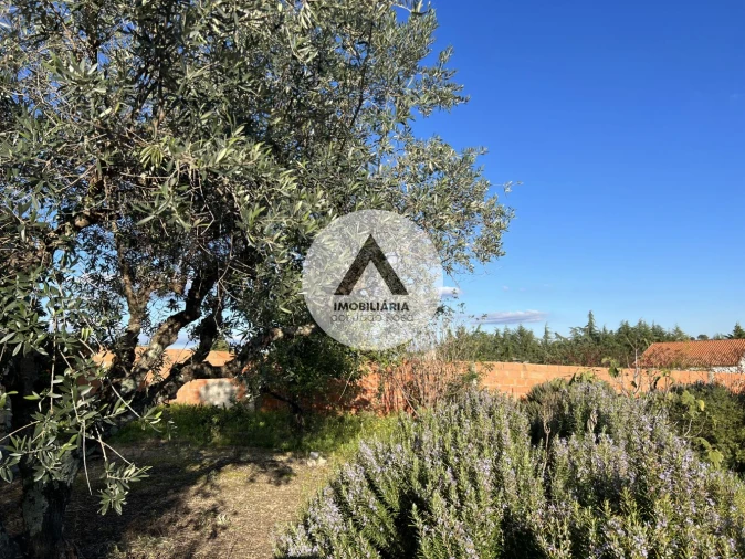 Moradia T6 para Venda em Idanha-A-Nova e Alcafozes Foto 37