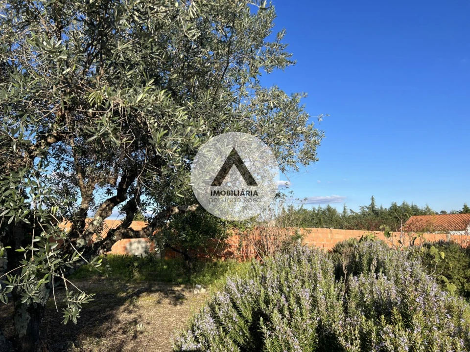 Moradia T6 para Venda em Idanha-A-Nova e Alcafozes Foto 37