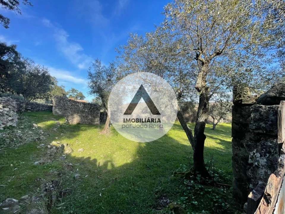 Terreno para Venda em Alcains Foto 4