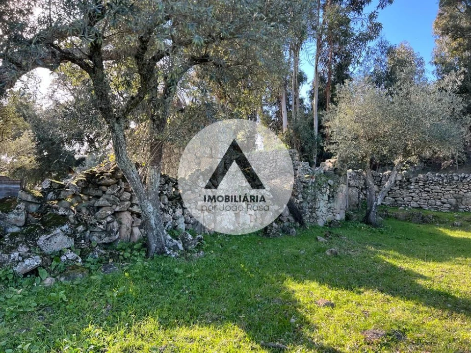 Terreno para Venda em Alcains Foto 3